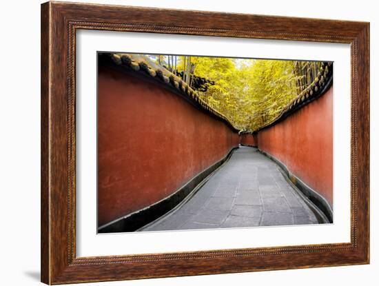 China 10MKm2 Collection - Alley Bamboo-Philippe Hugonnard-Framed Photographic Print