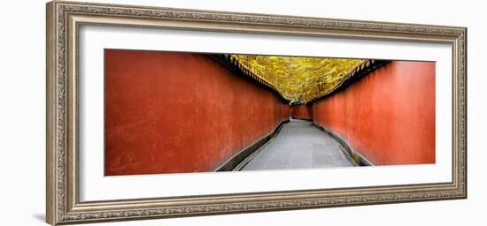 China 10MKm2 Collection - Alley Bamboo-Philippe Hugonnard-Framed Photographic Print