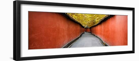 China 10MKm2 Collection - Alley Bamboo-Philippe Hugonnard-Framed Photographic Print