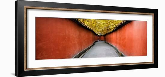 China 10MKm2 Collection - Alley Bamboo-Philippe Hugonnard-Framed Photographic Print