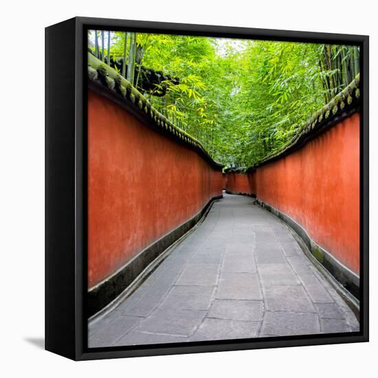 China 10MKm2 Collection - Alley Bamboo-Philippe Hugonnard-Framed Premier Image Canvas