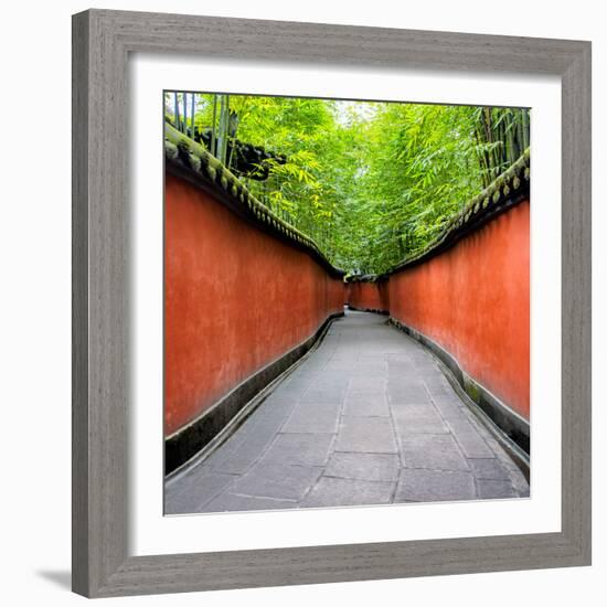 China 10MKm2 Collection - Alley Bamboo-Philippe Hugonnard-Framed Photographic Print