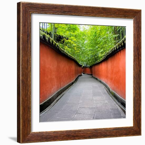 China 10MKm2 Collection - Alley Bamboo-Philippe Hugonnard-Framed Photographic Print