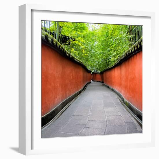 China 10MKm2 Collection - Alley Bamboo-Philippe Hugonnard-Framed Photographic Print