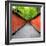 China 10MKm2 Collection - Alley Bamboo-Philippe Hugonnard-Framed Photographic Print