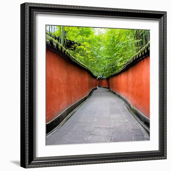 China 10MKm2 Collection - Alley Bamboo-Philippe Hugonnard-Framed Photographic Print