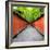 China 10MKm2 Collection - Alley Bamboo-Philippe Hugonnard-Framed Photographic Print