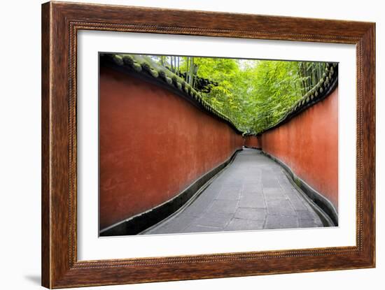 China 10MKm2 Collection - Alley Bamboo-Philippe Hugonnard-Framed Photographic Print