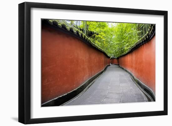 China 10MKm2 Collection - Alley Bamboo-Philippe Hugonnard-Framed Photographic Print