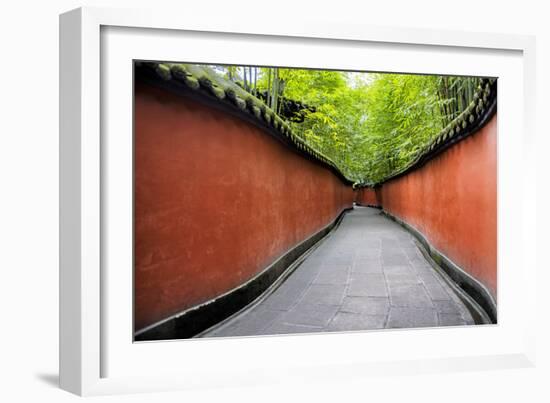 China 10MKm2 Collection - Alley Bamboo-Philippe Hugonnard-Framed Photographic Print