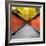 China 10MKm2 Collection - Alley Bamboo-Philippe Hugonnard-Framed Photographic Print