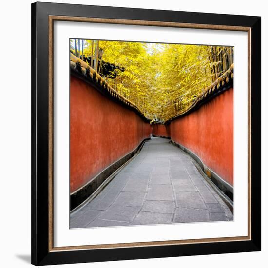 China 10MKm2 Collection - Alley Bamboo-Philippe Hugonnard-Framed Photographic Print