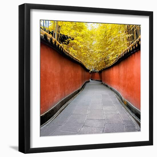 China 10MKm2 Collection - Alley Bamboo-Philippe Hugonnard-Framed Photographic Print