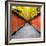 China 10MKm2 Collection - Alley Bamboo-Philippe Hugonnard-Framed Photographic Print