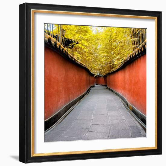 China 10MKm2 Collection - Alley Bamboo-Philippe Hugonnard-Framed Photographic Print