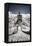 China 10MKm2 Collection - Another Look - Great Wall of China-Philippe Hugonnard-Framed Premier Image Canvas