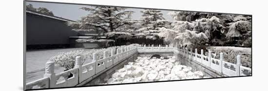China 10MKm2 Collection - Another Look - Lotus Bridge-Philippe Hugonnard-Mounted Photographic Print