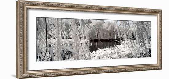 China 10MKm2 Collection - Another Look - Lotus Lake-Philippe Hugonnard-Framed Photographic Print