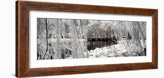 China 10MKm2 Collection - Another Look - Lotus Lake-Philippe Hugonnard-Framed Photographic Print