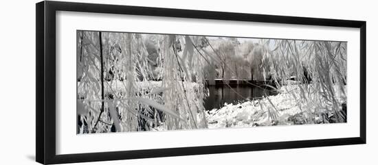 China 10MKm2 Collection - Another Look - Lotus Lake-Philippe Hugonnard-Framed Photographic Print