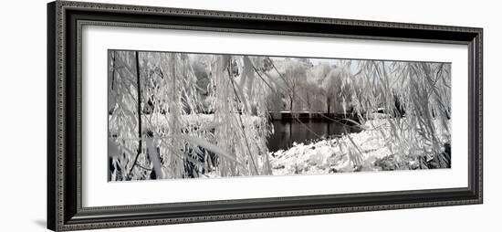 China 10MKm2 Collection - Another Look - Lotus Lake-Philippe Hugonnard-Framed Photographic Print