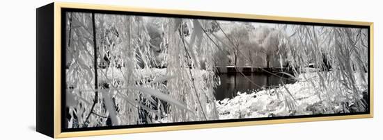 China 10MKm2 Collection - Another Look - Lotus Lake-Philippe Hugonnard-Framed Premier Image Canvas