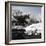 China 10MKm2 Collection - Another Look - Lotus Lake-Philippe Hugonnard-Framed Photographic Print