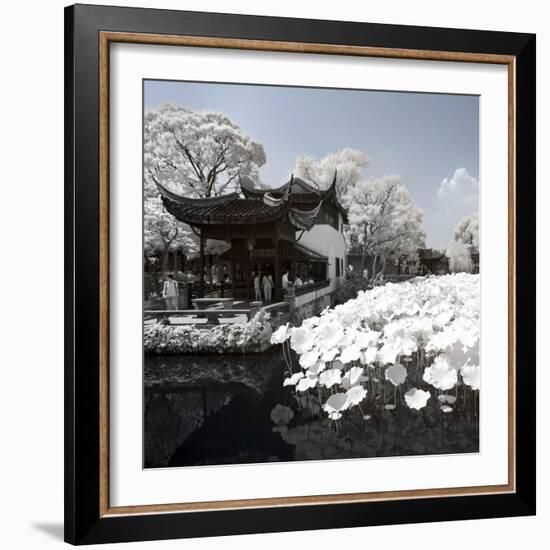 China 10MKm2 Collection - Another Look - Lotus Lake-Philippe Hugonnard-Framed Photographic Print