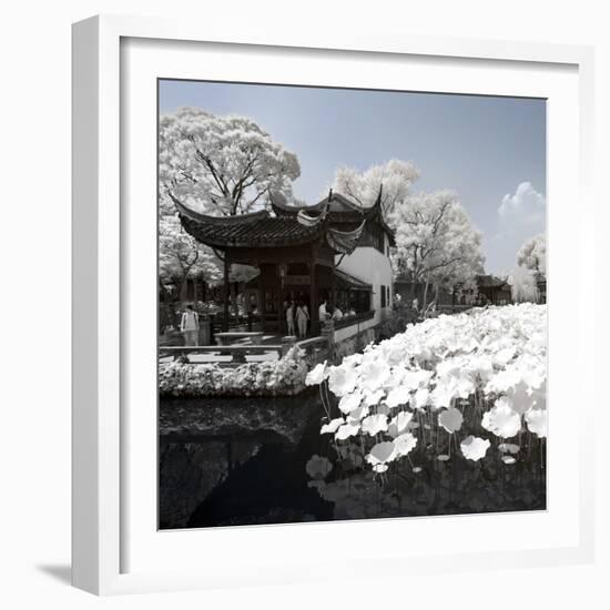 China 10MKm2 Collection - Another Look - Lotus Lake-Philippe Hugonnard-Framed Photographic Print