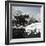 China 10MKm2 Collection - Another Look - Lotus Lake-Philippe Hugonnard-Framed Photographic Print