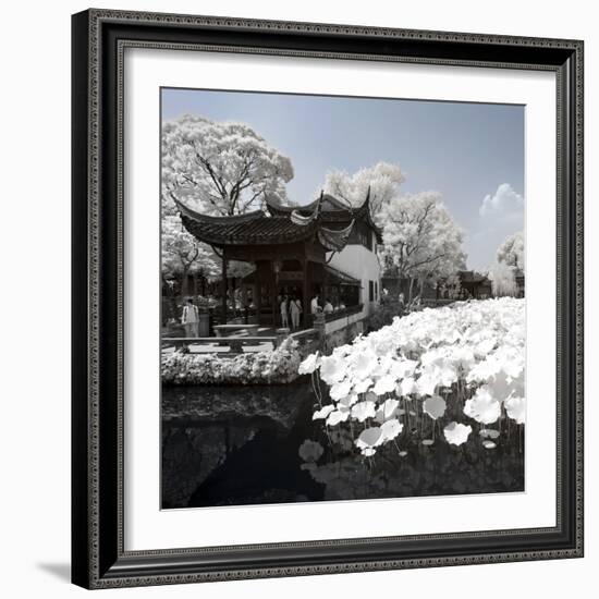 China 10MKm2 Collection - Another Look - Lotus Lake-Philippe Hugonnard-Framed Photographic Print