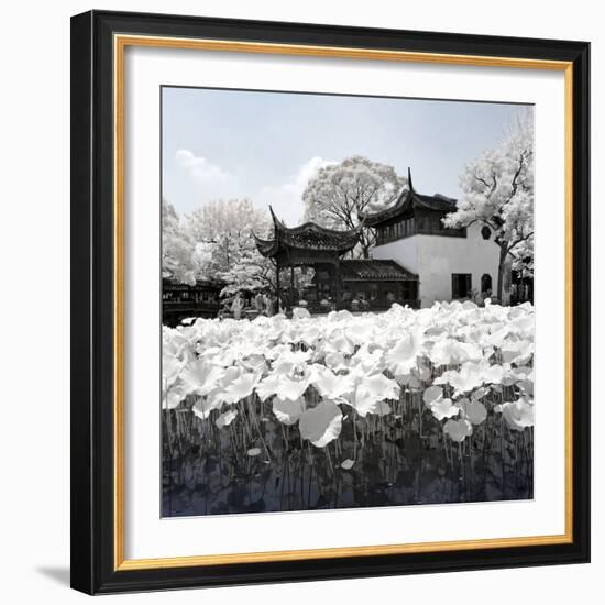 China 10MKm2 Collection - Another Look - Lotus Lake-Philippe Hugonnard-Framed Photographic Print