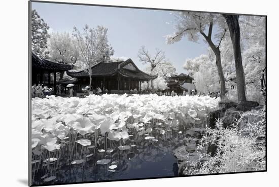China 10MKm2 Collection - Another Look - Lotus Lake-Philippe Hugonnard-Mounted Photographic Print