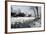 China 10MKm2 Collection - Another Look - Lotus Lake-Philippe Hugonnard-Framed Photographic Print