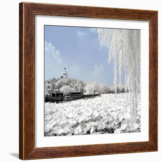 China 10MKm2 Collection - Another Look - Lotus Lake-Philippe Hugonnard-Framed Photographic Print