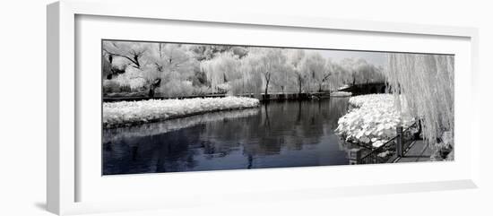 China 10MKm2 Collection - Another Look - Lotus Lake-Philippe Hugonnard-Framed Photographic Print