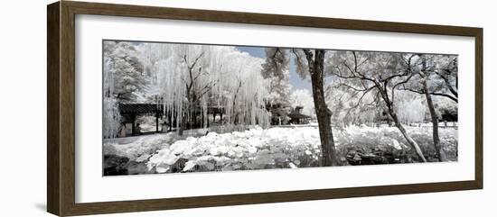 China 10MKm2 Collection - Another Look - Lotus Park-Philippe Hugonnard-Framed Photographic Print