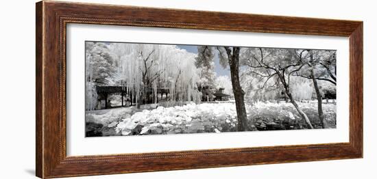 China 10MKm2 Collection - Another Look - Lotus Park-Philippe Hugonnard-Framed Photographic Print