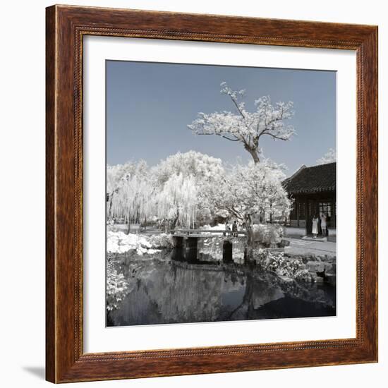 China 10MKm2 Collection - Another Look - Lotus Park-Philippe Hugonnard-Framed Photographic Print