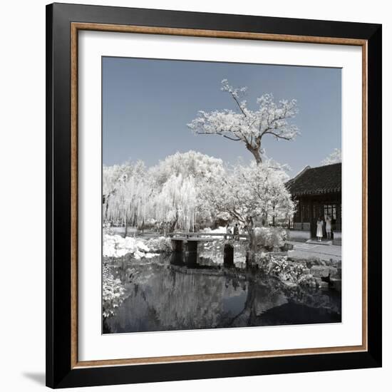 China 10MKm2 Collection - Another Look - Lotus Park-Philippe Hugonnard-Framed Photographic Print