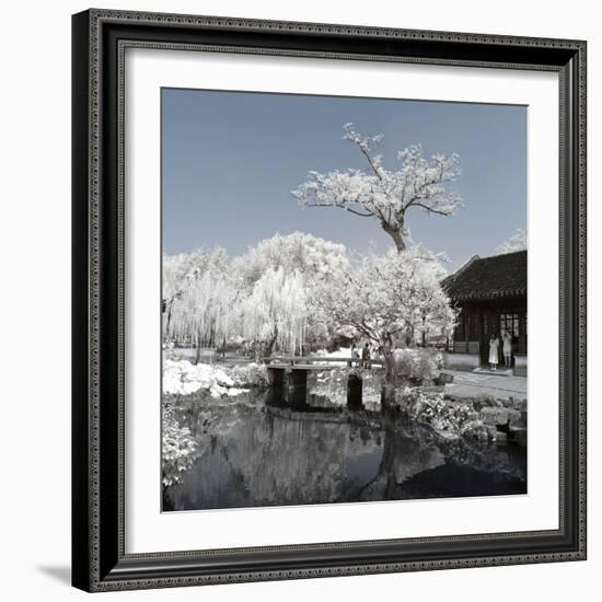 China 10MKm2 Collection - Another Look - Lotus Park-Philippe Hugonnard-Framed Photographic Print