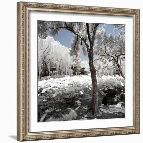 China 10MKm2 Collection - Another Look - Lotus Park-Philippe Hugonnard-Framed Photographic Print