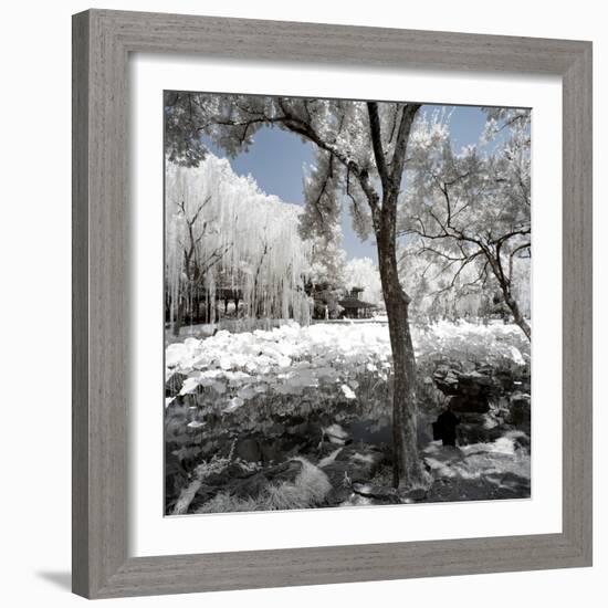 China 10MKm2 Collection - Another Look - Lotus Park-Philippe Hugonnard-Framed Photographic Print