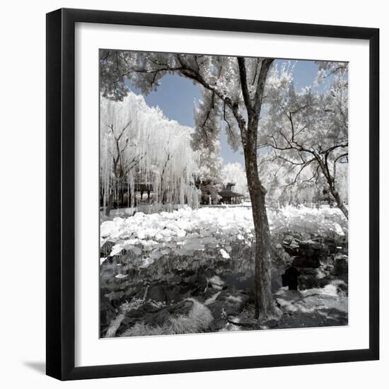 China 10MKm2 Collection - Another Look - Lotus Park-Philippe Hugonnard-Framed Photographic Print