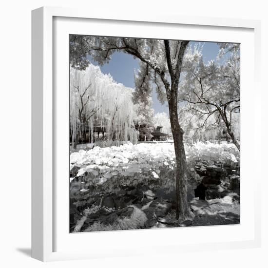 China 10MKm2 Collection - Another Look - Lotus Park-Philippe Hugonnard-Framed Photographic Print