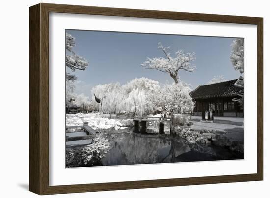 China 10MKm2 Collection - Another Look - Lotus Park-Philippe Hugonnard-Framed Photographic Print