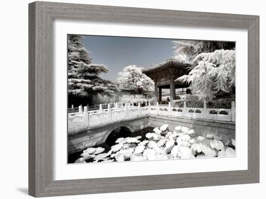 China 10MKm2 Collection - Another Look - Lotus Temple-Philippe Hugonnard-Framed Photographic Print