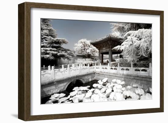 China 10MKm2 Collection - Another Look - Lotus Temple-Philippe Hugonnard-Framed Photographic Print