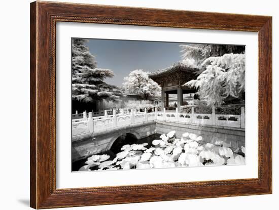 China 10MKm2 Collection - Another Look - Lotus Temple-Philippe Hugonnard-Framed Photographic Print