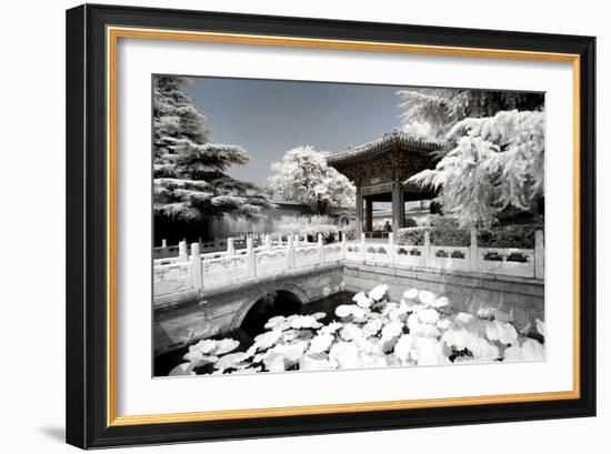 China 10MKm2 Collection - Another Look - Lotus Temple-Philippe Hugonnard-Framed Photographic Print